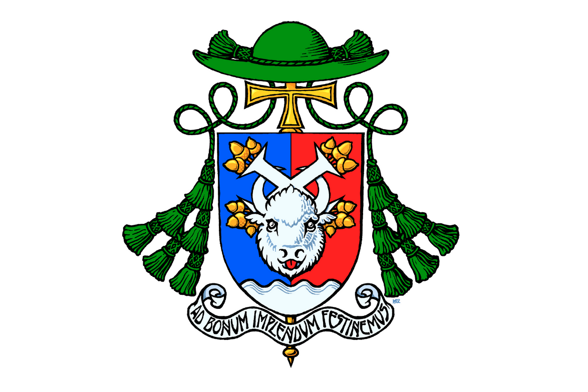 Описание герба вспомогательного епископа Архиепархии Божией Матери Николая Дубинина