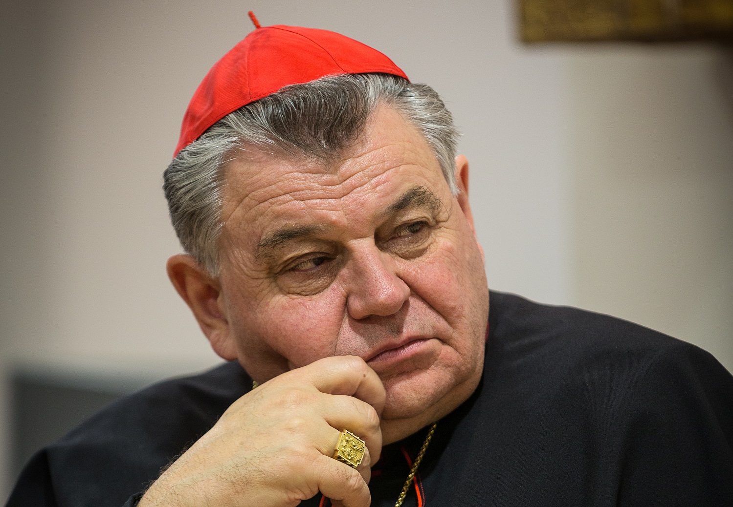 Чешский кардинал отмечает, что пандемический кризис вызвал приток народа в лоно Церкви