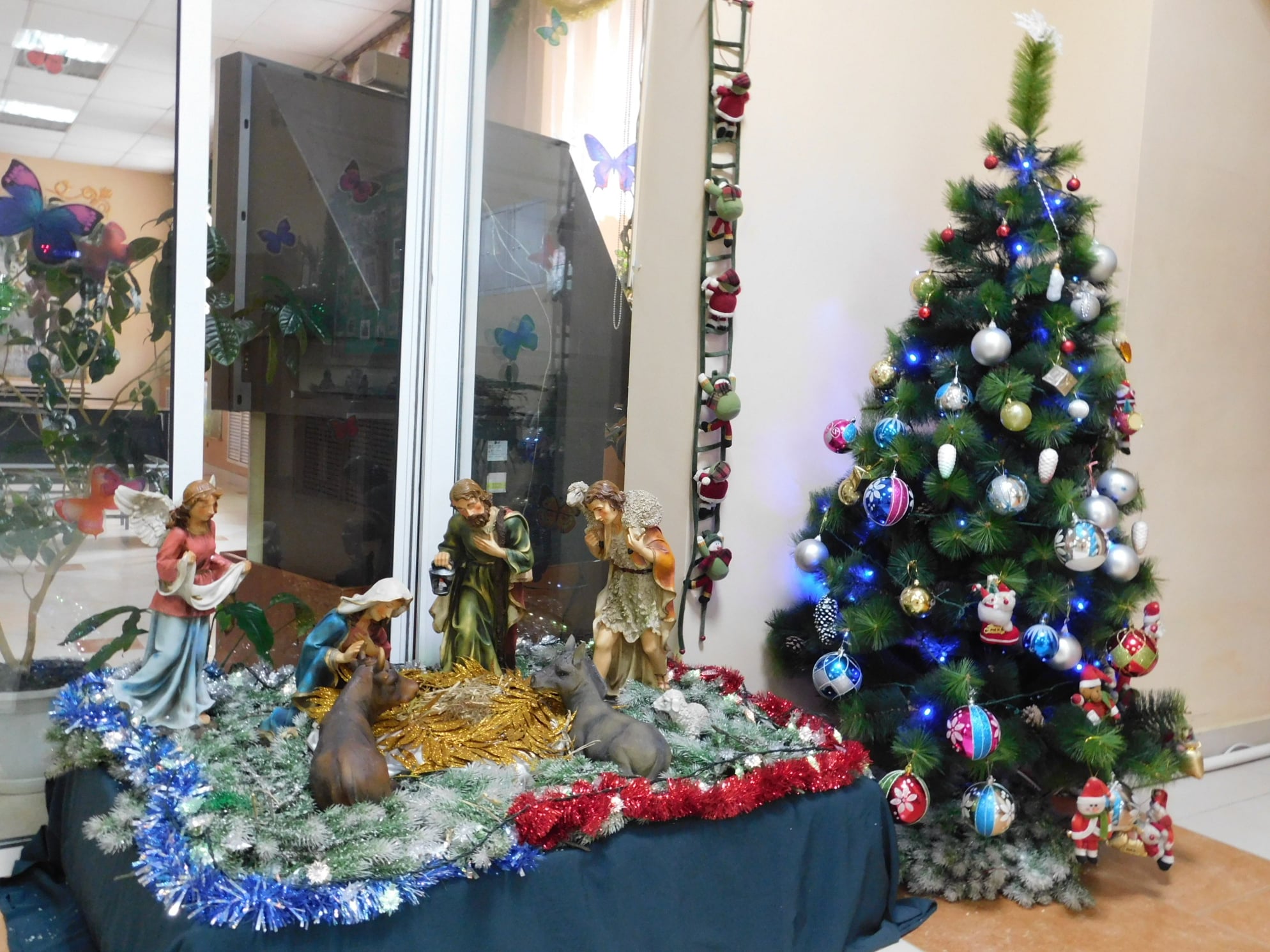 В уссурийском центре францисканцев «Тау» всё готово к Рождеству (ФОТО)