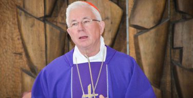 Австрийские епископы назвали культурным разрывом решение Конституционного суда об «ассистированном самоубийстве»