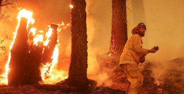 «Каритас» Греции помогает пострадавшим от пожаров