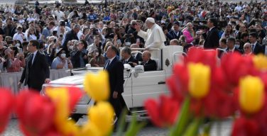 Общая аудиенция Папы в Светлую среду 20 апреля (+ ФОТО)