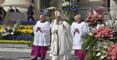 Голландские цветоводы возродили традицию пасхального украшения площади Святого Петра в Ватикане