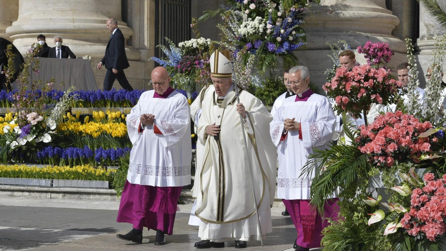 Голландские цветоводы возродили традицию пасхального украшения площади Святого Петра в Ватикане