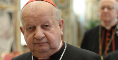Ватикан: действия кардинала Дзивиша были корректными