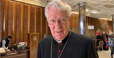 Бельгийский епископ Ван Лой отказался от кардинальского достоинства
