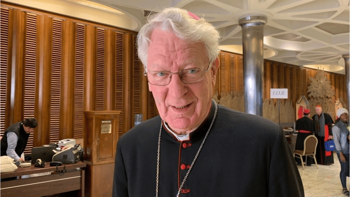 Бельгийский епископ Ван Лой отказался от кардинальского достоинства