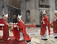 Папа на Мессе праздника святых апостолов Петра и Павла: в Церкви есть место для каждого