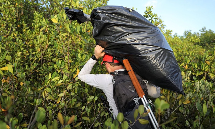 Американец в одиночку очистил мангровые леса от 10 тонн мусора