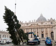 Из Абруццо на площадь Святого Петра прибыла рождественская ель (ФОТО)