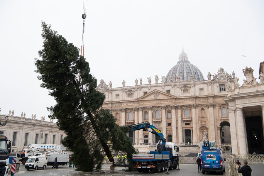 Из Абруццо на площадь Святого Петра прибыла рождественская ель (ФОТО)