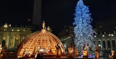 На площади Святого Петра в Ватикане зажгли огни на рождественской ели и открыли вертеп (ВИДЕО)