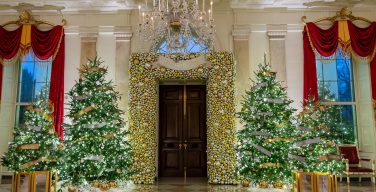 Белый дом украсили к Рождеству (ФОТО)