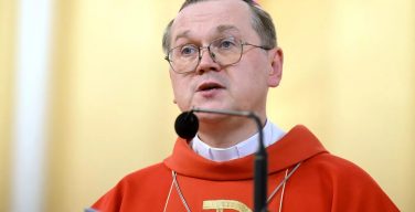 Епископ Дубинин: миссия кардинала Дзуппи – начало непростого пути
