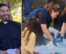 США: священник принял роды на улице у бездомной женщины