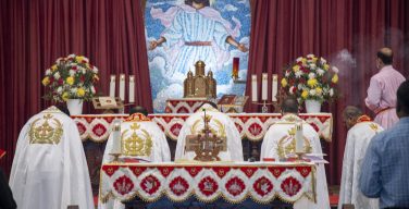 Папа – сиро-малабарским верующим: не превращайтесь в секту