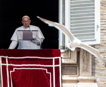 Слово Папы Франциска перед молитвой «Ангел Господень», 9 июня 2024 года, Ватикан, площадь Святого Петра