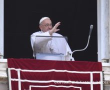 Слово Папы Франциска перед молитвой «Ангел Господень», 16 июня 2024 года, Ватикан, площадь Святого Петра