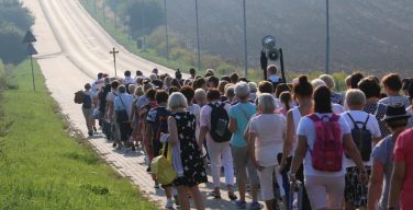 Папа Франциск обратился к польским паломницам (+ ФОТО)