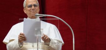 Слово Папы Льва XIV перед молитвой Regina Caeli 11 мая 2025 года, Ватикан, площадь Святого Петра