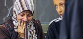 Папа Лев XIV после молитвы Angelus: «Человечество взывает и молит о мире»
