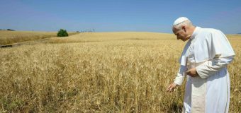 Папа Римский: пора накормить мир, а не кормить его обещаниями