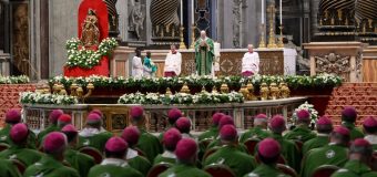 Юбилей синодальных групп и церковных советов. Папа: любовь – верховный закон Церкви (+ ФОТО)