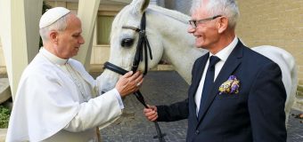 Папе Римскому подарили чистокровного арабского скакуна