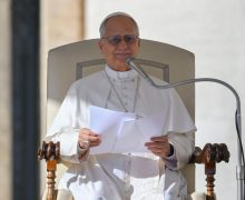 «Следование за Христом требует экологического обращения». Катехизическое наставление Папы Льва XIV на общей аудиенции 19 ноября 2025 года