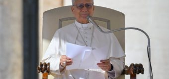 «Следование за Христом требует экологического обращения». Катехизическое наставление Папы Льва XIV на общей аудиенции 19 ноября 2025 года