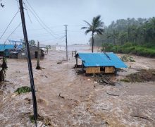 Лев XIV молится о жертвах стихийных бедствий и бомбардировок