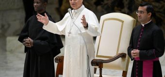 Папа: у каждого своё задание, и все мы воздаем хвалу Богу, выполняя его с усердием