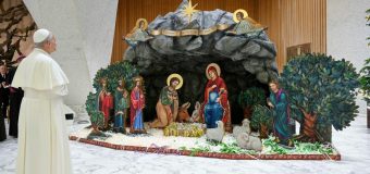 Папа встретился с делегациями от епархий, преподнесших в этом году Ватикану рождественские ели и вертепы (+ ФОТО)