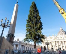 Подготовка к Рождеству в Ватикане: вертеп привезен с юга Италии, а елка — с севера страны