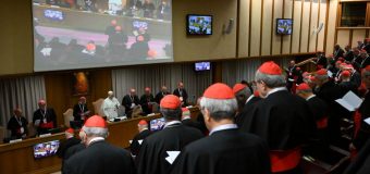 Лев XIV провёл первую чрезвычайную консисторию с начала своего понтификата