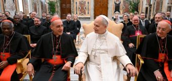 Папа Лев XIV высоко оценил работу Департамента вероучения