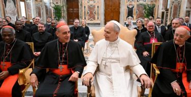 Папа Лев XIV высоко оценил работу Департамента вероучения