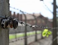 «Пусть ужасы геноцида не коснутся ни одного народа». Лев XIV на общей аудиенции (+ ФОТО)