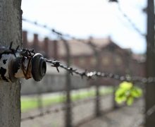 «Пусть ужасы геноцида не коснутся ни одного народа». Лев XIV на общей аудиенции в среду (+ ФОТО)