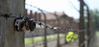 «Пусть ужасы геноцида не коснутся ни одного народа». Лев XIV на общей аудиенции (+ ФОТО)