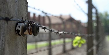 «Пусть ужасы геноцида не коснутся ни одного народа». Лев XIV на общей аудиенции в среду (+ ФОТО)