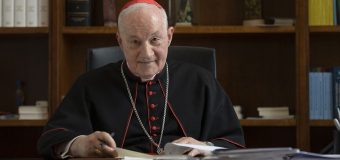 Уступка или прогресс? Миряне на руководящих должностях в Курии