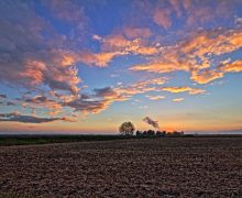 Послание Льва XIV на 63-й Всемирный день молитвы о призваниях (полный текст)