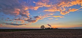 Послание Льва XIV на 63-й Всемирный день молитвы о призваниях (полный текст)