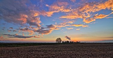 Послание Льва XIV на 63-й Всемирный день молитвы о призваниях (полный текст)