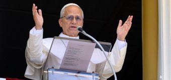Папа на воскресной молитве Angelus: «Бог да просветит совесть облеченных властью»