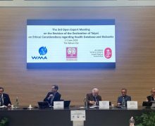 Лев XIV: данные пациентов не должны становиться товаром